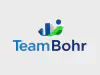 TeamBohr: Unleash Your Business Potential with Expert Consulting